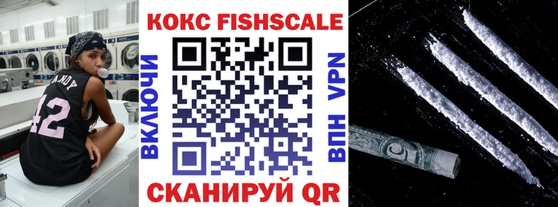 купить наркоту  Торопец  COCAIN Fish Scale 