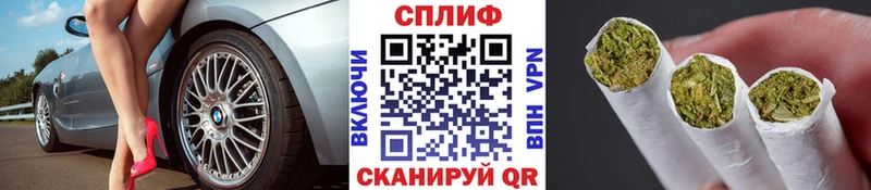 Канабис THC 21%  сколько стоит  Торопец 